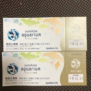 サンシャイン水族館 ペアチケット