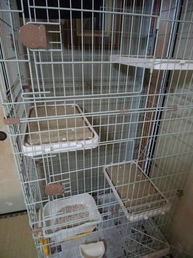 猫ケージ　３段　ハンモック付き