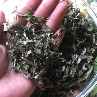 よもぎ蒸し講座〜よもぎ蒸しのやり方を教えます〜