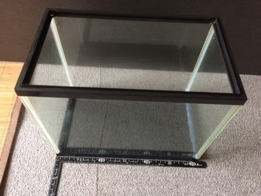 ジェックス Gex 30cm水槽 プロカンバルス 三条のその他の中古あげます 譲ります ジモティーで不用品の処分