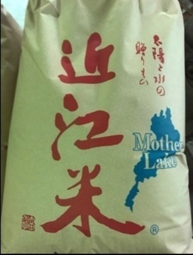 31年度産 新米受付開始