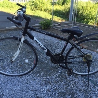 dunlop spur mountain bike