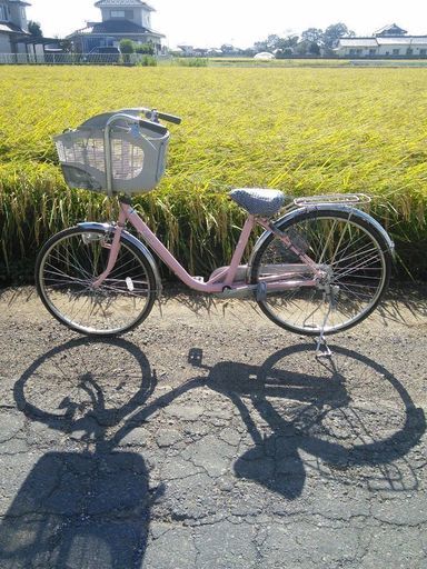 お子ちゃま乗せ付自転車！