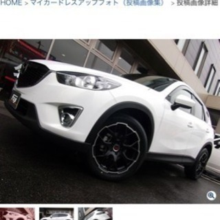 ALGERNON フェニーチェ mx-1