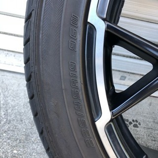 ALGERNON フェニーチェ mx-1