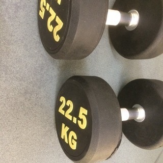 ラバーダンベル 22.5kg 2個