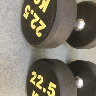 ラバーダンベル 22.5kg  2個