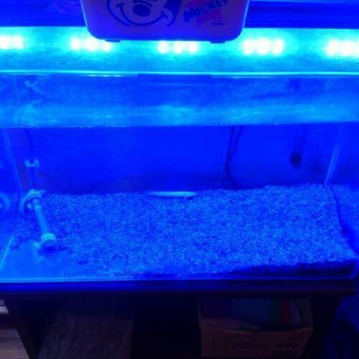水槽
