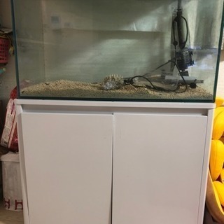 水槽と水槽のセット