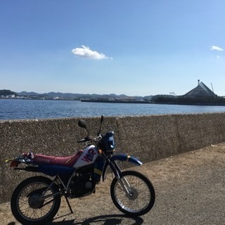 ヤマハ DT50
