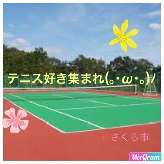 テニスクラブ 綾鷹 inさくら市