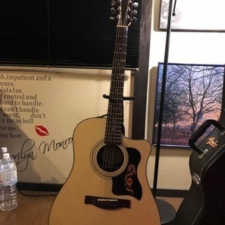 フェンダーエレアコ ハードケース付き