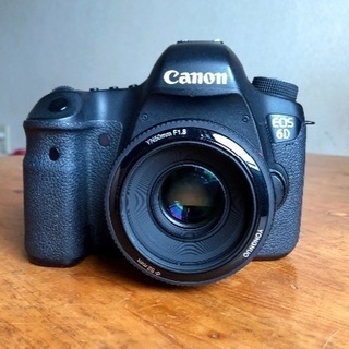 美品 Canon 6D ボディと EF28-135mm, 50m...