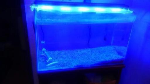 水槽60センチ