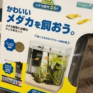 メダカ水槽セット