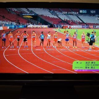 Panasonic ビエラ デジタルハイビジョンプラズマテレビ TH-42PZ80A