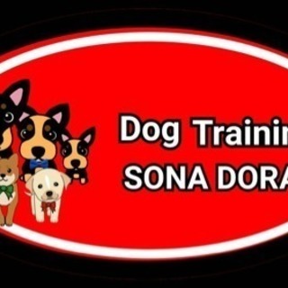 犬の問題行動改善 犬のしつけ ドッグトレーニング