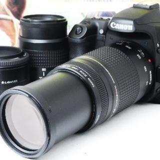 ★本格をお探しの方★ビギナーにも★キャノン EOS 40D 新品...