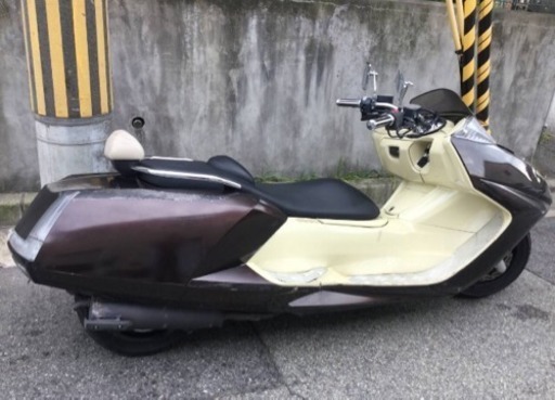 マグザム  ブラウン