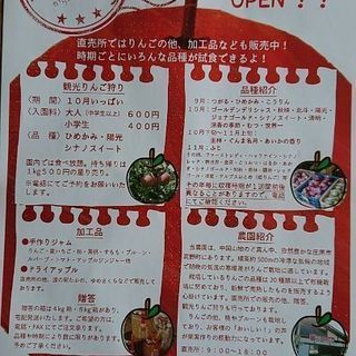 大坂農園  観光りんご狩り10月1日オープン！！