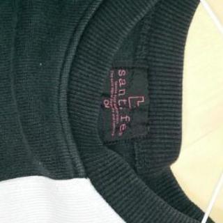 約３０年前のサンタフェ本物 約30年前のサンタフェ本物