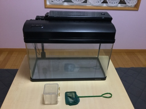 値下げしました‼️水槽セット  ニッソー    幅60cm 高さ35cm 奥行30cm