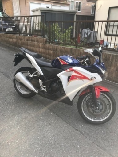 CBR250r mc41前期(2011年式)