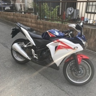 CBR250r mc41前期(2011年式)