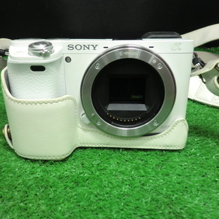 ソニー a6000 ミラーレス一眼 ズームレンズSEL55210
