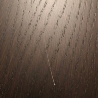 決まりました♪カッシーナイクスシー Cassina ixc  ミール MIR ダイニングテーブル