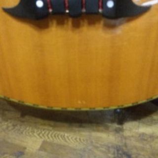 アコースティックベース