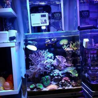 値下げ【中古品】カミハタ　海道システム　50hz　+　専用キャビネット