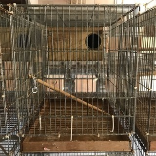 【ペット】中古 鳥かごまとめて売ります 中サイズ　10個セット