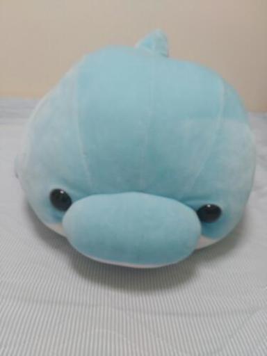 ひんやりもっちりイルカ だんだん 宇都宮のおもちゃ ぬいぐるみ の中古あげます 譲ります ジモティーで不用品の処分