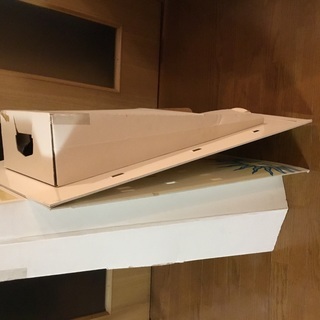 蛯原友里直筆サイン入り等身大パネル