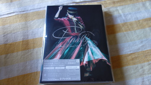 【初回限定盤】安室奈美恵ファイナリーDVD【9月10日まで】