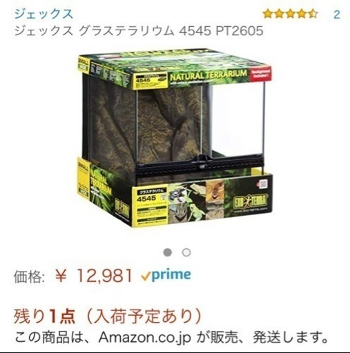 爬虫類 育成セット