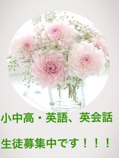 小中高 英語 英会話 生徒募集中です Ms Tanaka 龍ケ崎市の英語の生徒募集 教室 スクールの広告掲示板 ジモティー