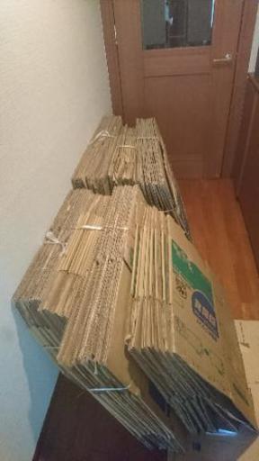 引越しダンボール 大量