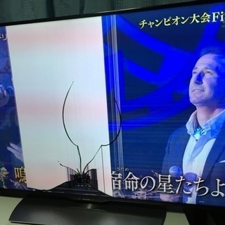 アクオス4kテレビ50インチの画像