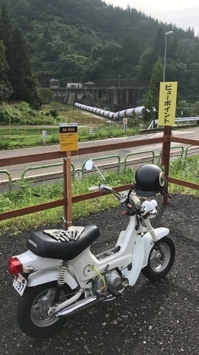 ホンダ☆cf50 シャリー ☆12V☆MAX70km☆検索ダックスカブモンキー
