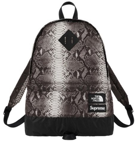 Supreme The North Face Snakeskin Lightweight Day Pack バックパック ブラック シュプリーム ノース フェイス 黒 蛇 ヘビ スネーク