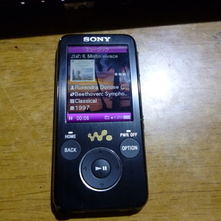 SONY WALKMAN NW- S736F