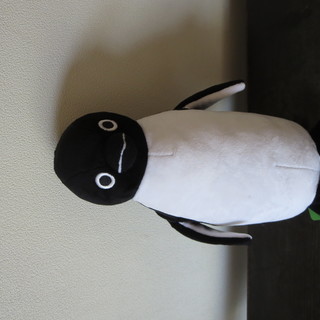 ◆スイカ◆ペンギンのぬいぐるみ人形 Lサイズ タグ付き新品 JR...