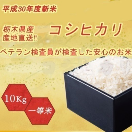 平成30年度新米 コシヒカリ 精米 10kg 栃木県北産 pechinecas.gob.pe