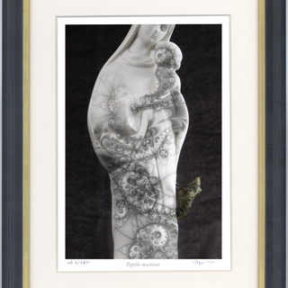 キアゲハのサナギとマリア像：アート写真（額装済み）