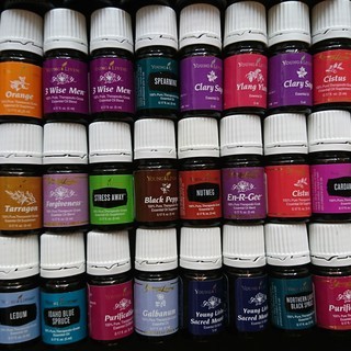 新品☆ヤングリビング トランスフォーメーション アロマ