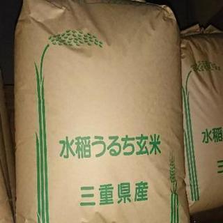 平成２９年コシヒカリ玄米３０キロ