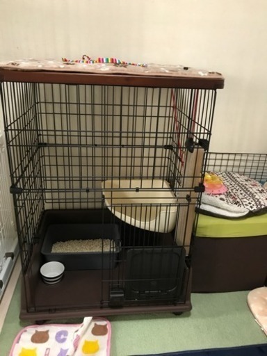 ねこゲージ  お値下げいたしました。