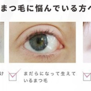 マツエクを超える 美しい自まつ毛蘇る 最強のラッシュアディクト とらふく 県庁前のその他の無料広告 無料掲載の掲示板 ジモティー